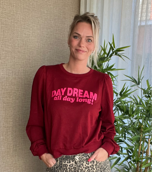 Day Dream sweater